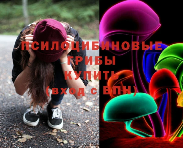 винт Аркадак