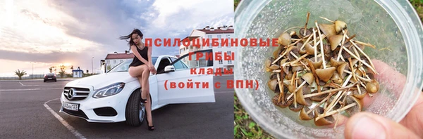 ПСИЛОЦИБИНОВЫЕ ГРИБЫ Армянск