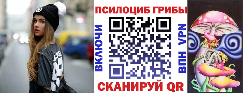Псилоцибиновые грибы Cubensis  где продают   Нижняя Салда 