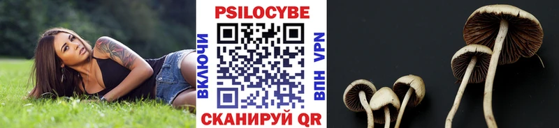 Псилоцибиновые грибы Psilocybe Нижняя Салда